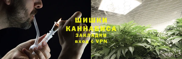 ПСИЛОЦИБИНОВЫЕ ГРИБЫ Иннополис