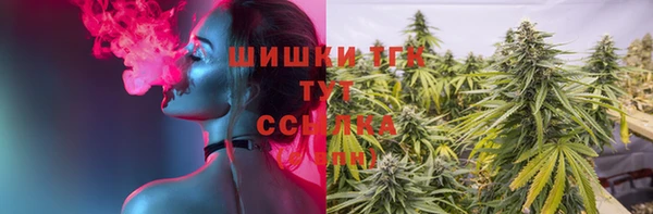 СК Инта