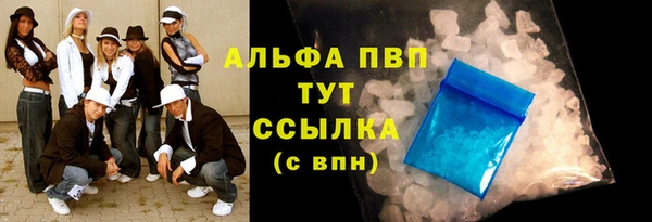гидра Инсар