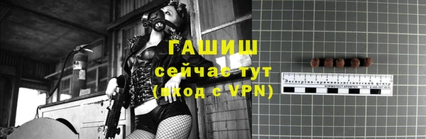 СК Инта