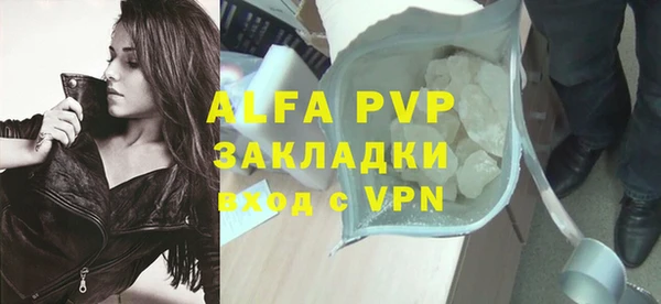 гидра Инсар