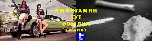 ПСИЛОЦИБИНОВЫЕ ГРИБЫ Иннополис