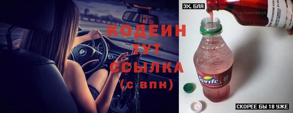 ПСИЛОЦИБИНОВЫЕ ГРИБЫ Иннополис