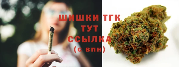 гидра Инсар