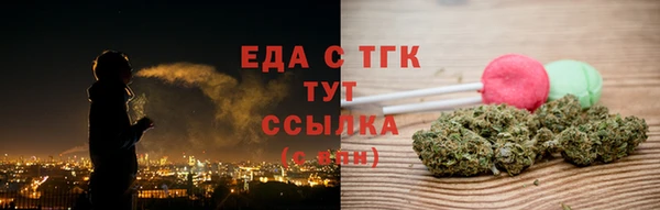 гидра Инсар