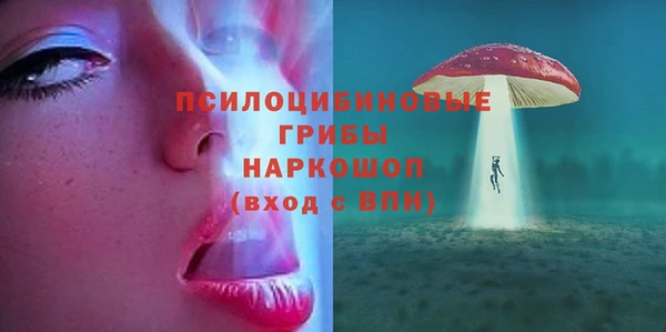 ПСИЛОЦИБИНОВЫЕ ГРИБЫ Иннополис
