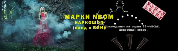 ПСИЛОЦИБИНОВЫЕ ГРИБЫ Иннополис