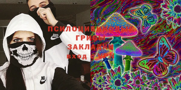 СК Инта