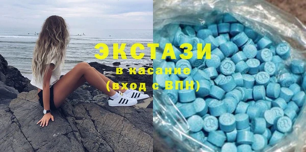 гидра Инсар
