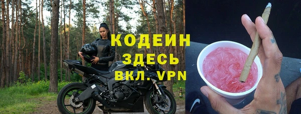 СК Инта