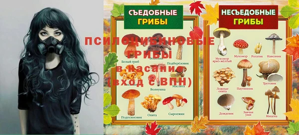 ПСИЛОЦИБИНОВЫЕ ГРИБЫ Иннополис