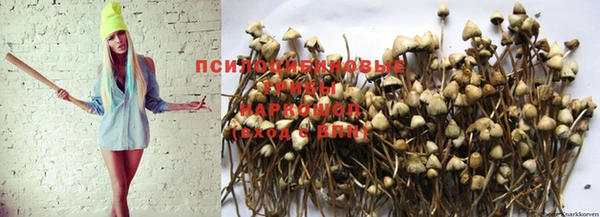 гидра Инсар