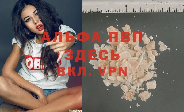 СК Инта